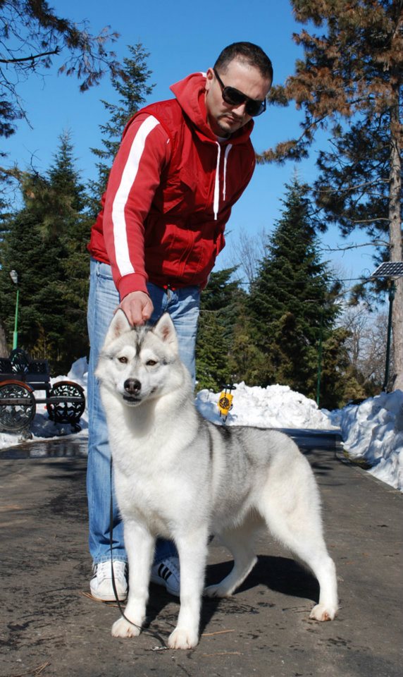 431523_3422715172691_1090539934_n (1)