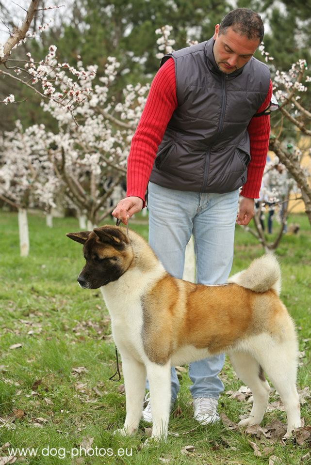 46639_10201028394858107_991299126_n (1)