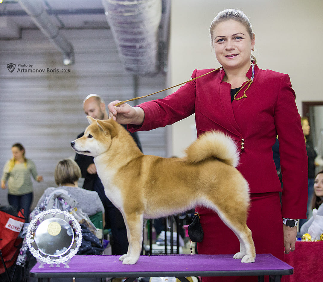 46702079_10215211286453308_6606249589236301824_o (1)