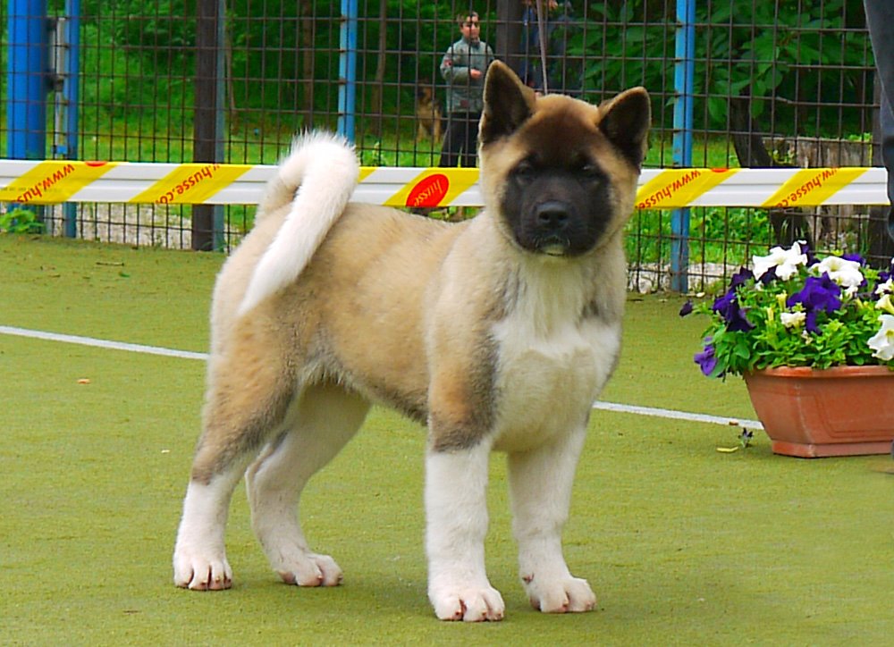 473446_4115705097006_58175579_o (1)