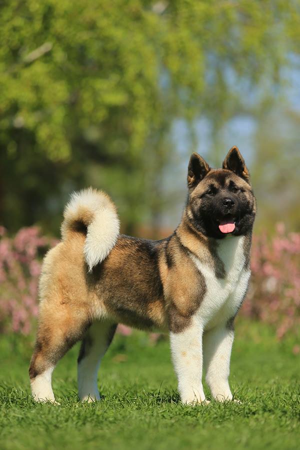 53078609_10219204005037002_4893018578317475840_n (1)