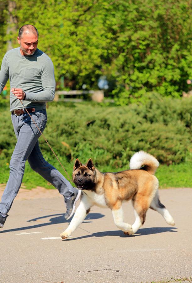 56203724_10219204006117029_1717555179697471488_n (1)