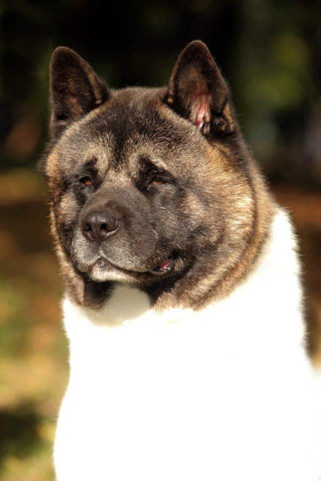 66413815_672769693186492_7490157608259551232_n (1)