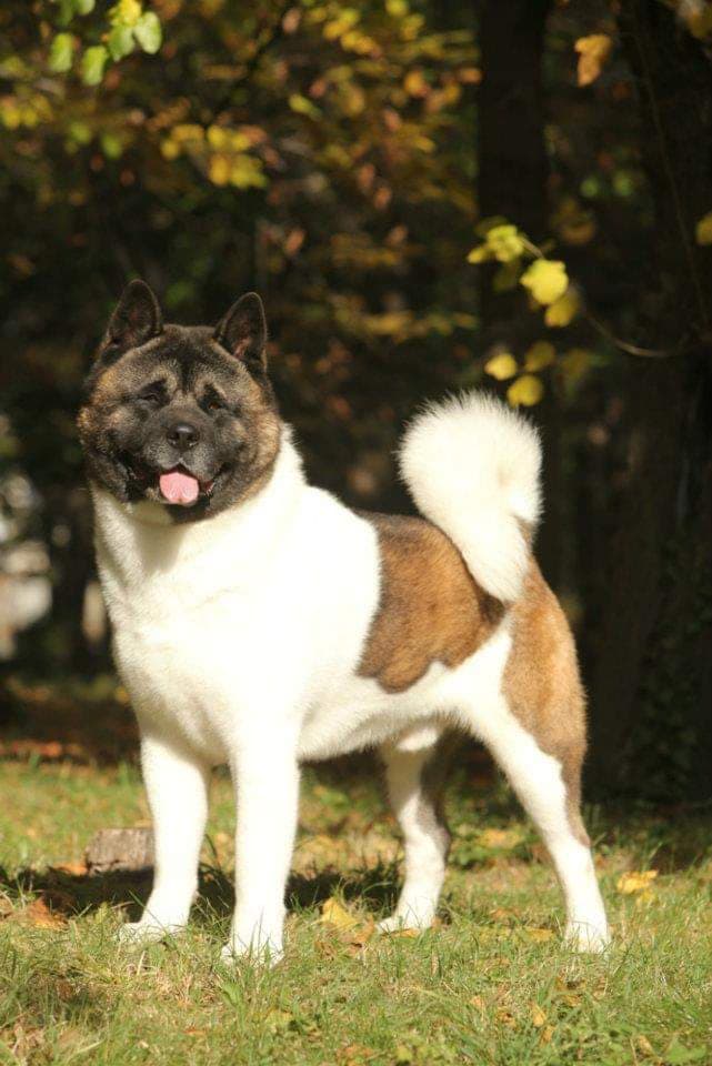 66475658_791823661212508_4363228761718521856_n (1)