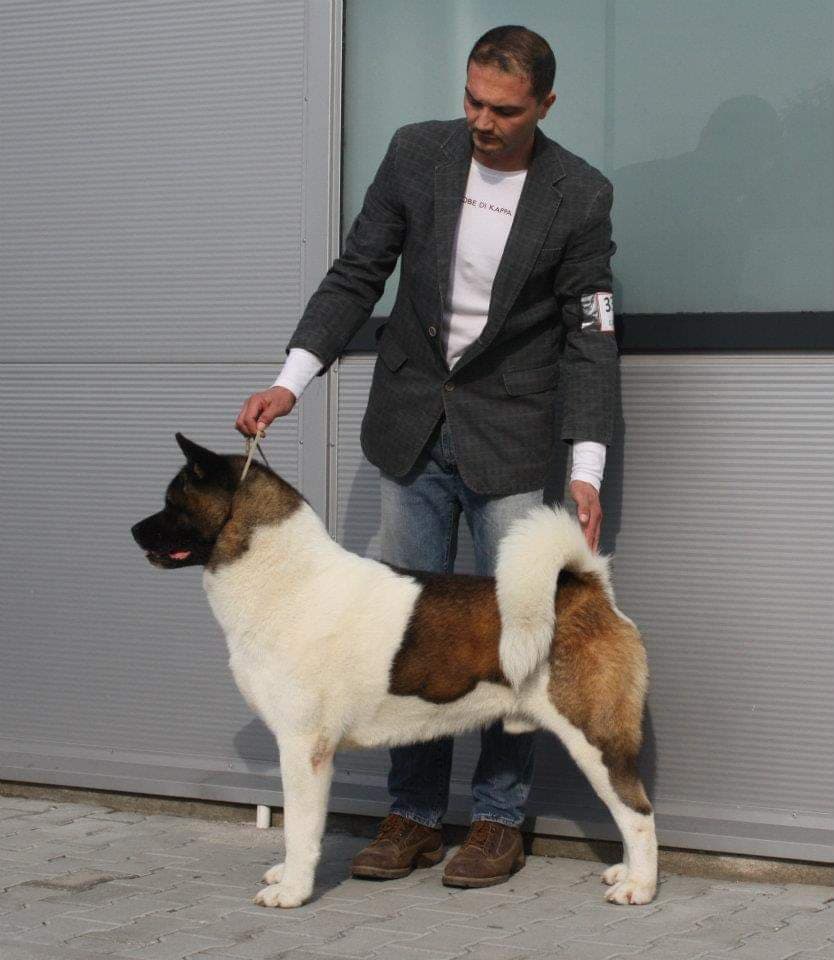 66808106_839156273119873_3507661419405377536_n (1)