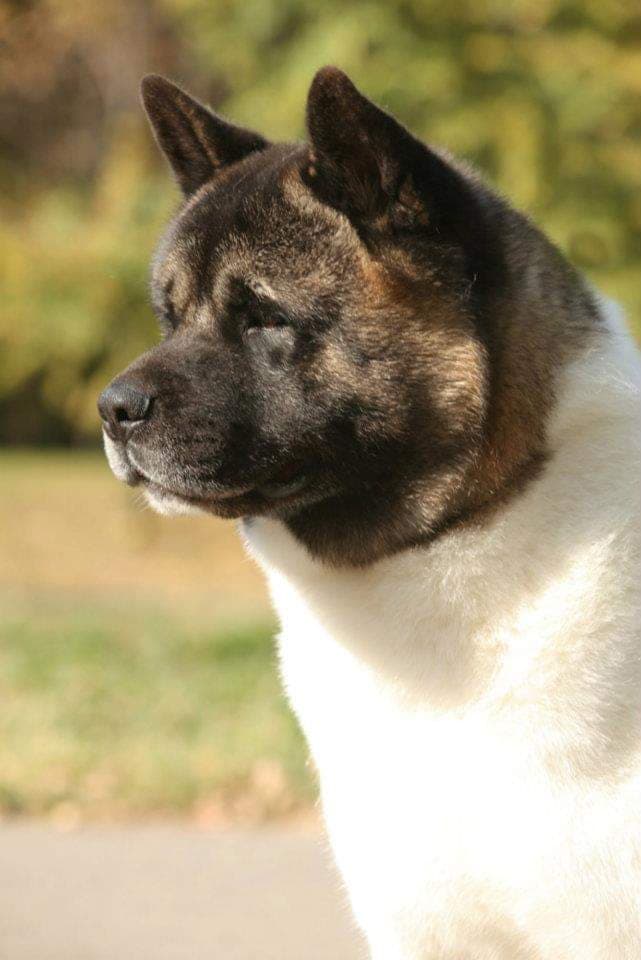 72235437_932551827111393_3418574151189790720_n (1)