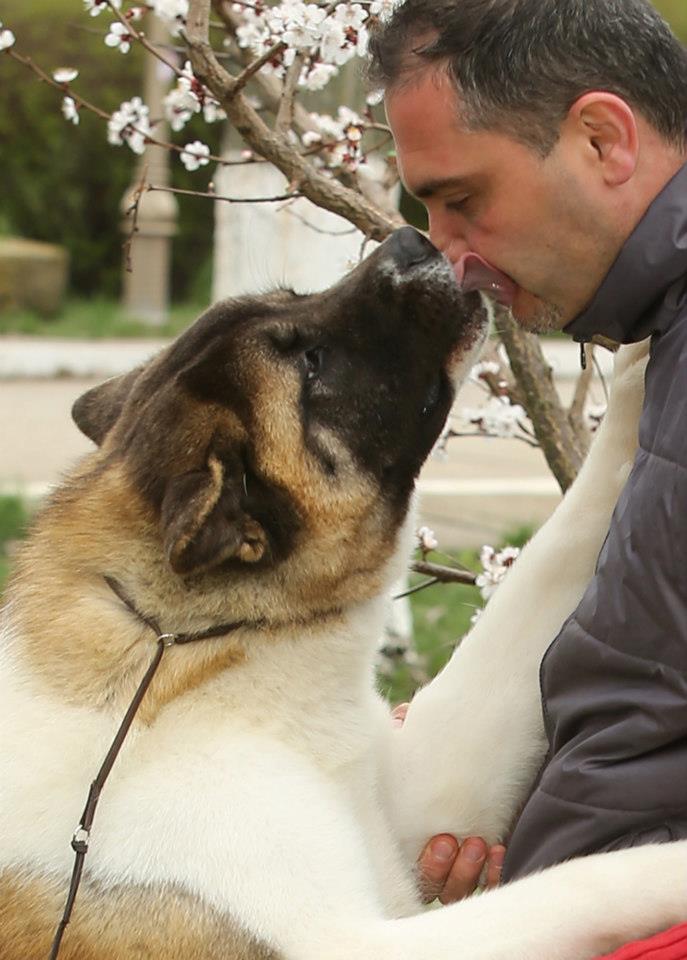 733961_10201029215798630_1918499127_n (1)