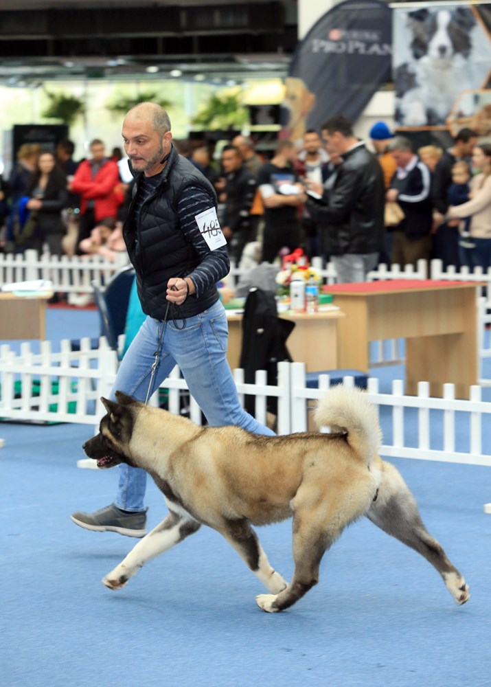 73460543_10221185511093415_2948234142325669888_o (1)