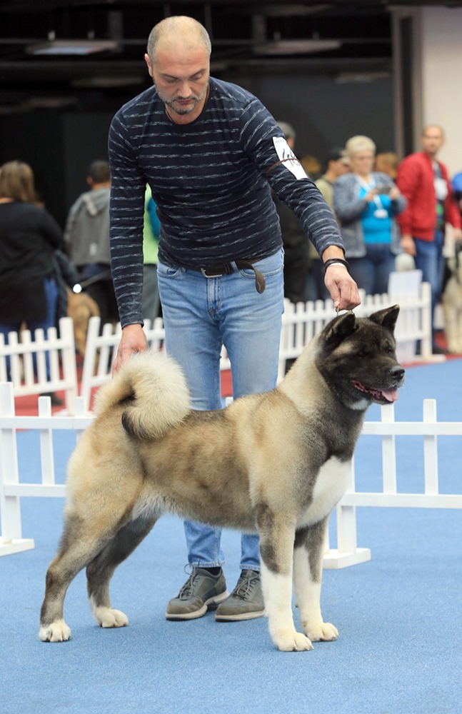 74341950_10221185512693455_2762604101014388736_o (1)