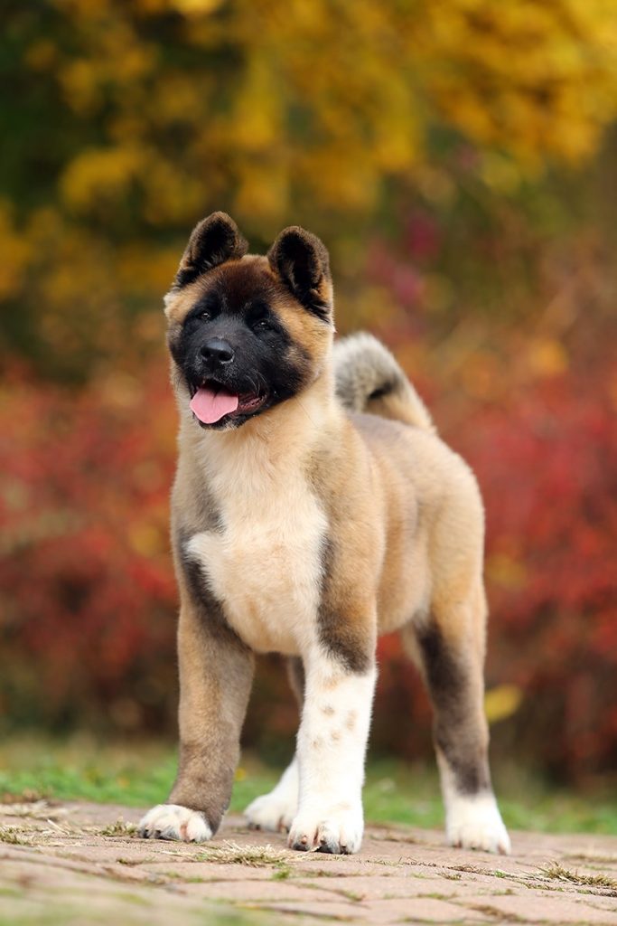 74839412_10221207673327457_8984151322064322560_o (1)