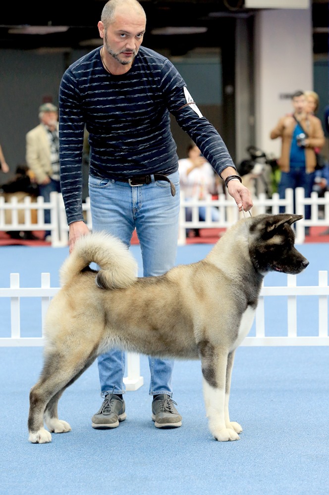 75315958_10221185514693505_7666185958122848256_o (1)