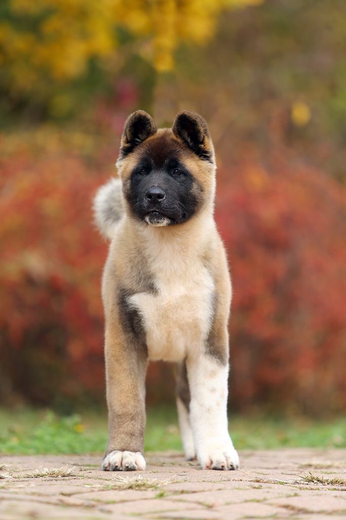 75339485_10221207672607439_3966993624658345984_o (1)