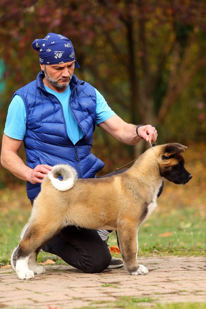 76697217_10221207673207454_5086971411549913088_o (1)