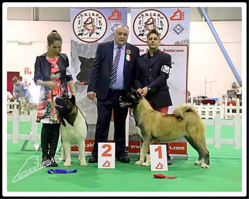 76705268_10221185524973762_758708919185965056_n (1)