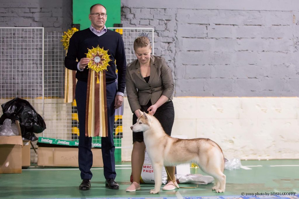 79810833_1421607181296202_5081866954587766784_o