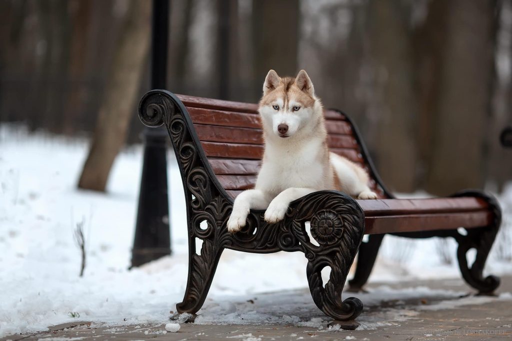 81043412_1471073836349536_6676943569812455424_o (1)