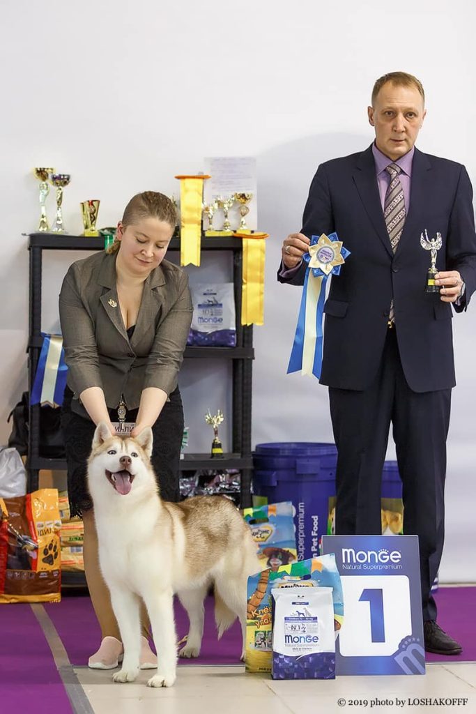 81157510_1440733829383537_5108263961027936256_o