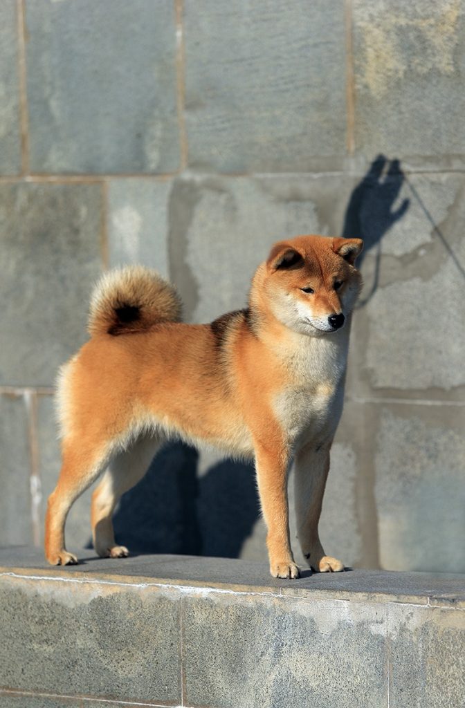 81944292_10221818669801987_2094667455908544512_o (1)