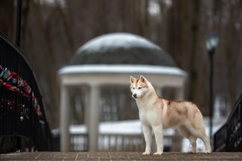 82086661_1471073813016205_6723098890398072832_o (1)