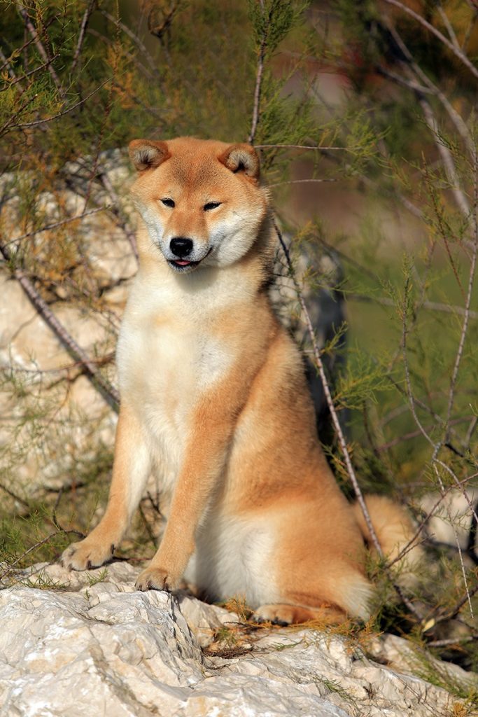 82198823_10221818670121995_7031612765001220096_o (1)