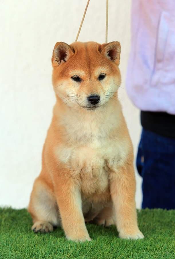 82353188_822487198223629_1740026238136745984_n (1)