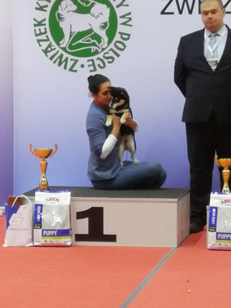 82356207_626029388142266_3360675638397632512_n (1)