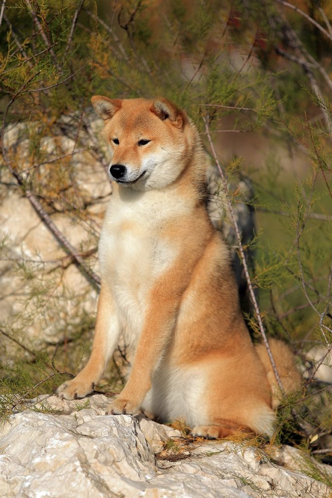 82423889_10221818670201997_4487281444590190592_o (1)