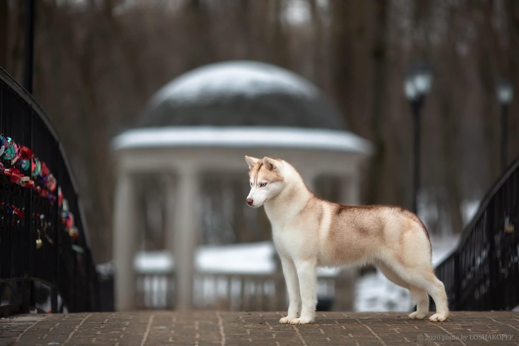 82428881_1471073863016200_5894818720856932352_o (1)