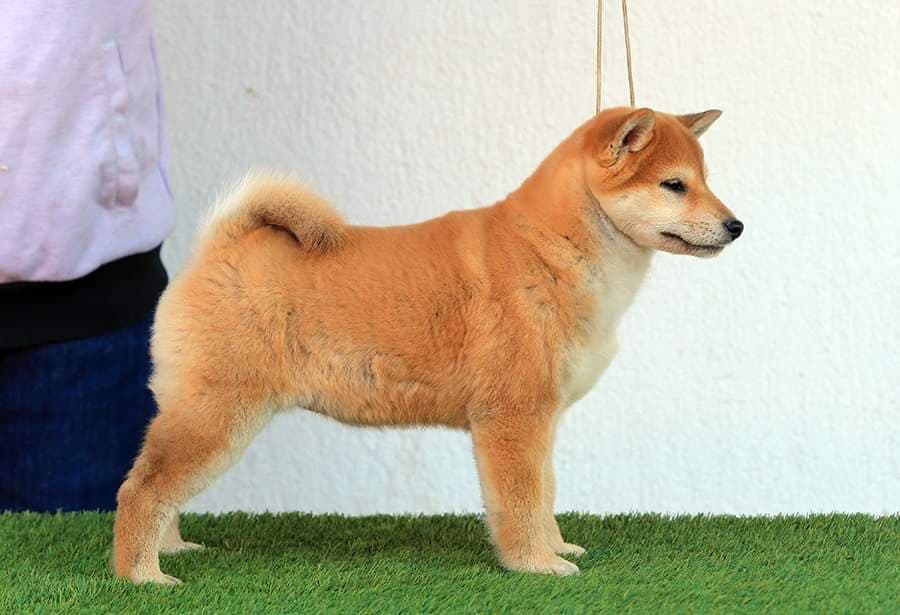 82839613_604316073456436_6245547605674164224_n (1)