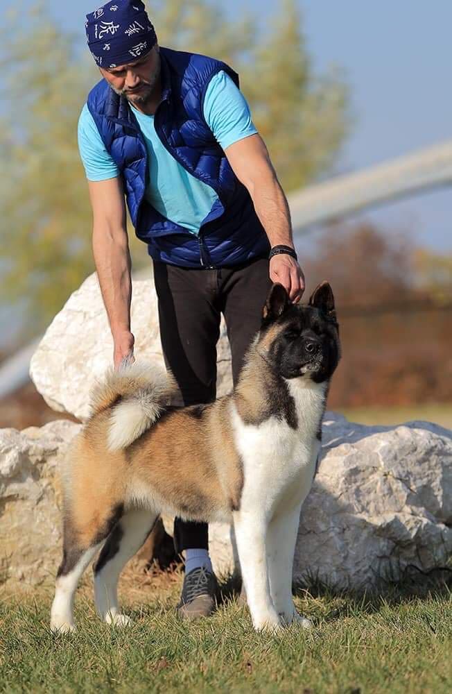 83399377_314839616139258_4961781726280941568_n (1)