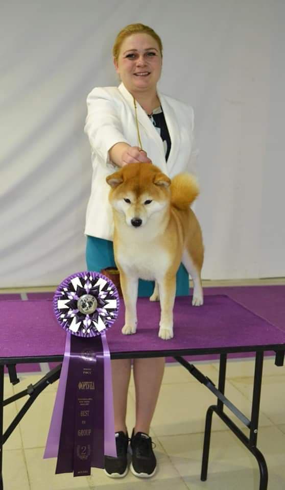 84521158_238049557368950_4312460478753275904_n (1)