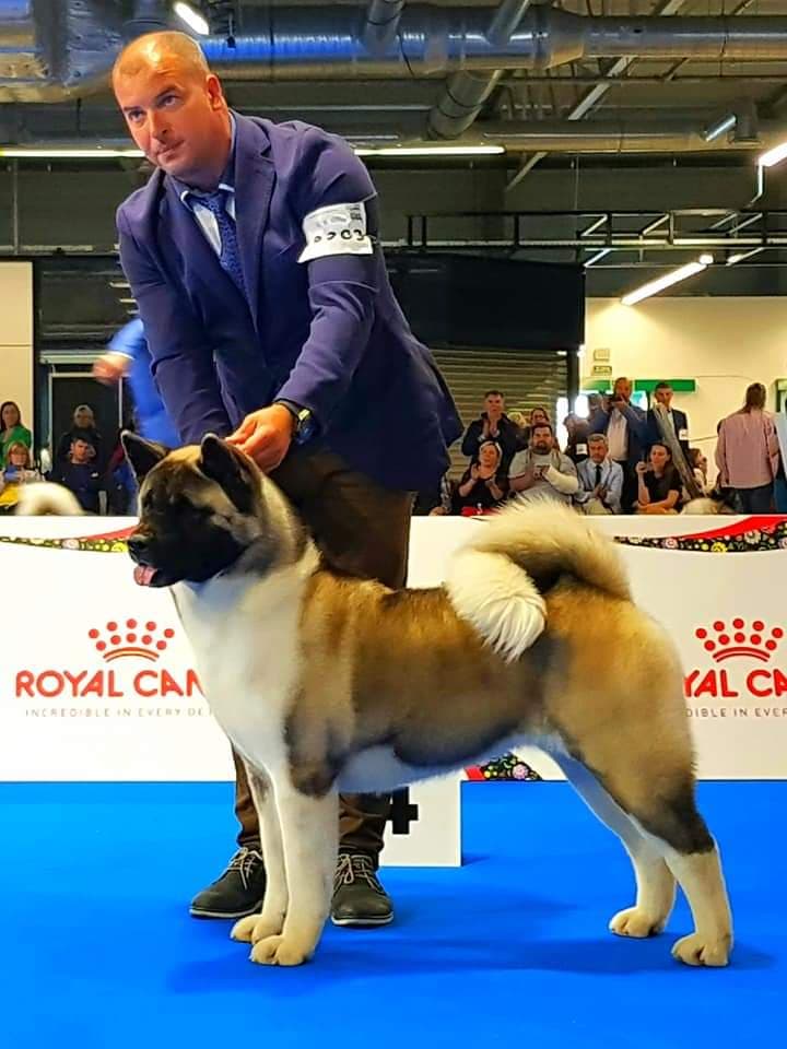 84627463_2813154732087703_7054472191563268096_n (1)