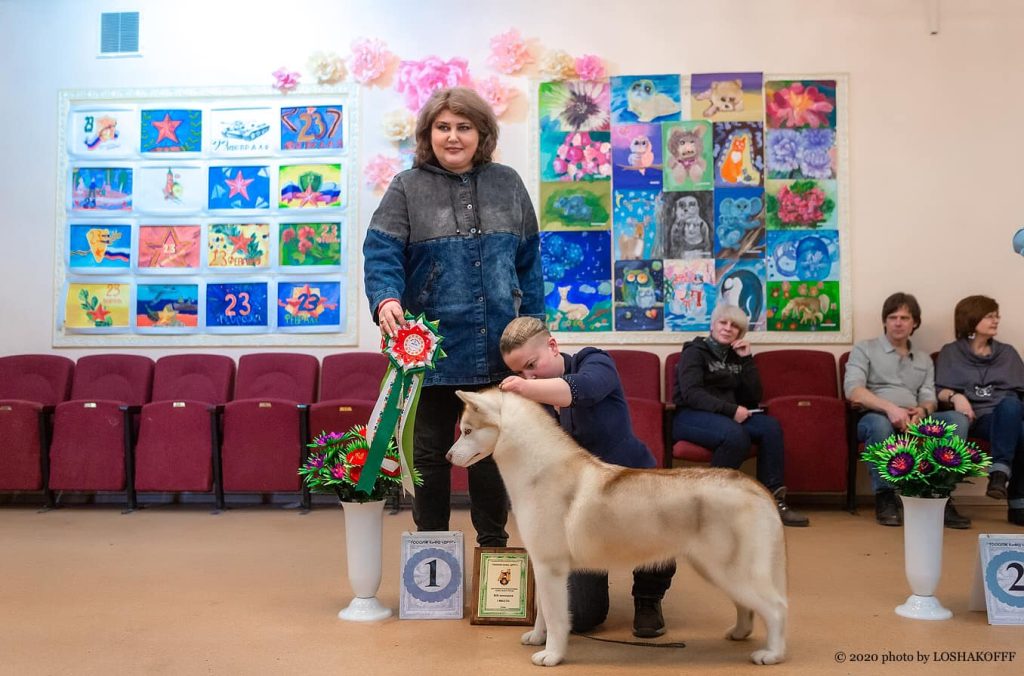 87992336_1559765867480332_2994822563118448640_o