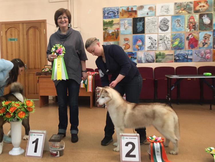 88992554_1559766717480247_6268628463570124800_n