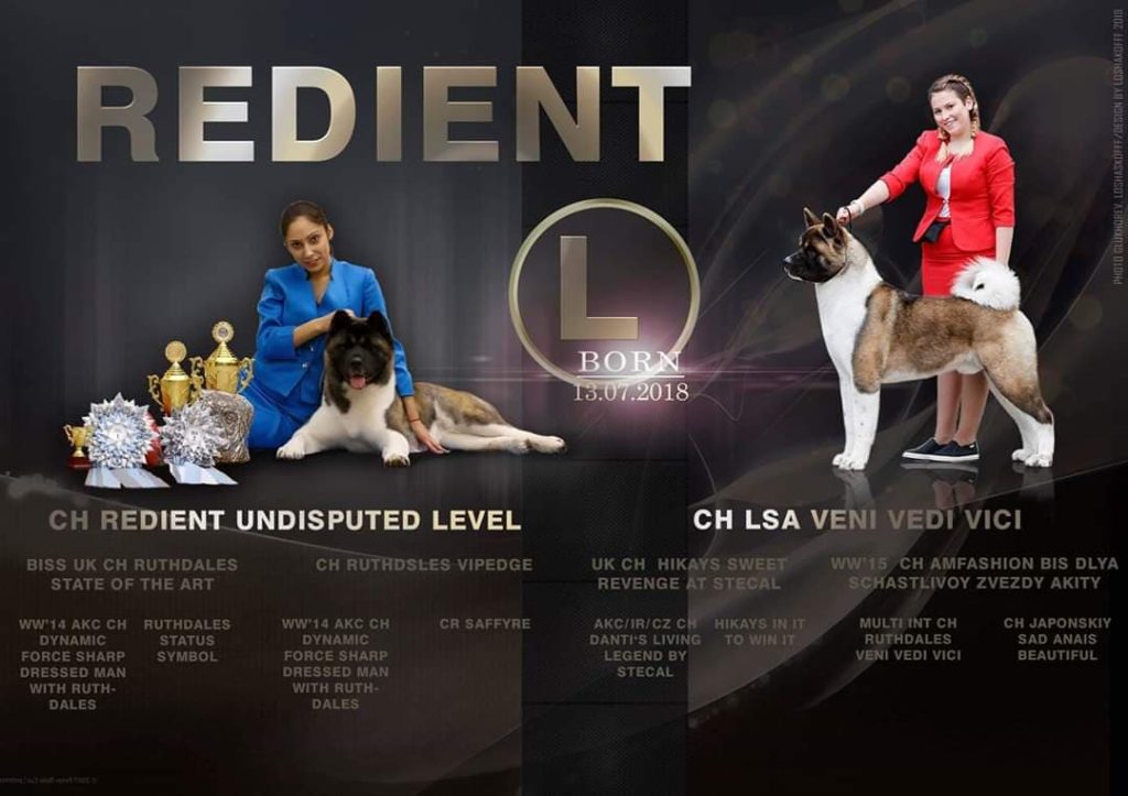 89436356_254013028950735_1813823714836348928_n (1)