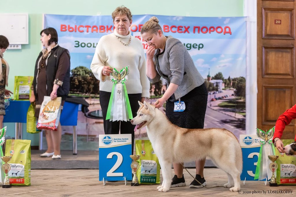 89494641_1587722934684625_6213736217431769088_o