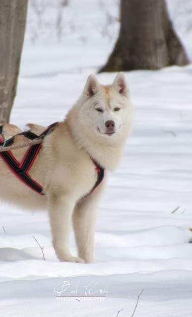 89538616_2560826867570390_542888625038163968_n-2