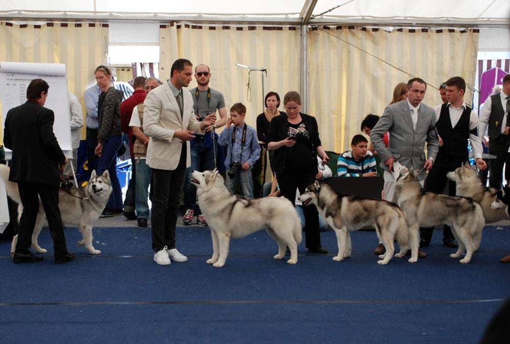 89551069_521189341874840_3541956144853417984_n (1)