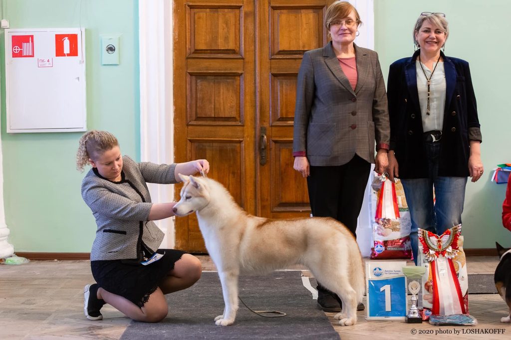 89552468_1587723078017944_3451569777879810048_o