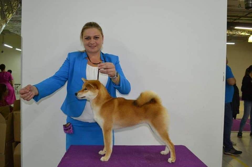 89591283_1004910903236073_6288945110579150848_n (1)