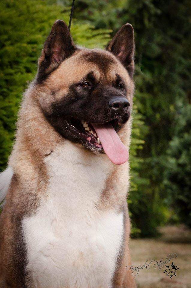 89635957_240145283695437_4312038012885139456_n (1)