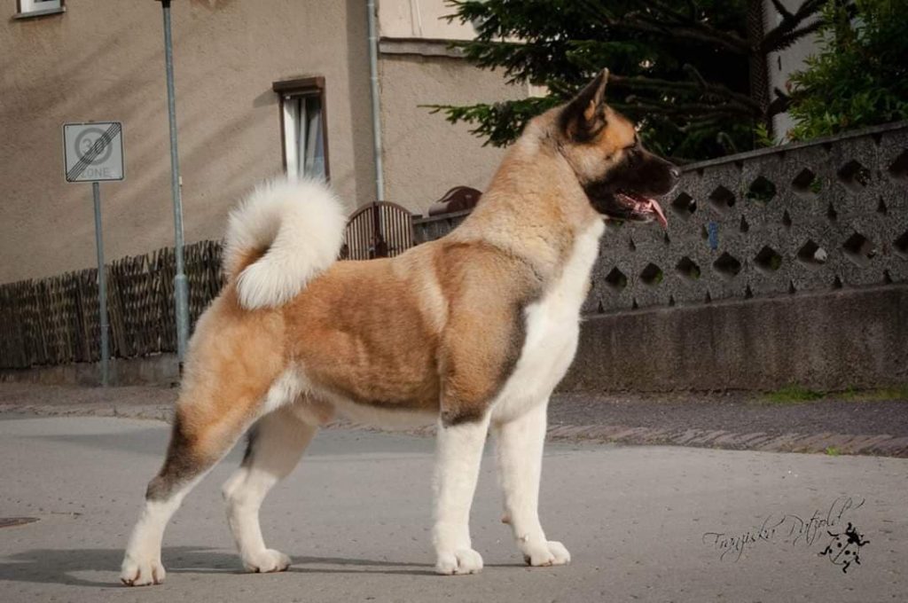 89655718_2595919173979256_8821902434172403712_n (1)