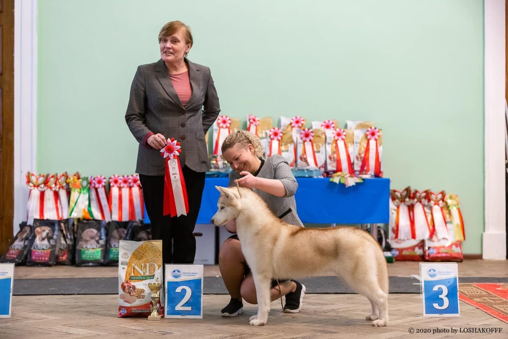 89655986_1587722898017962_8766438695390674944_o