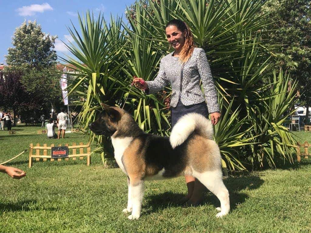 89656811_220579525759599_6647235650393210880_n (1)