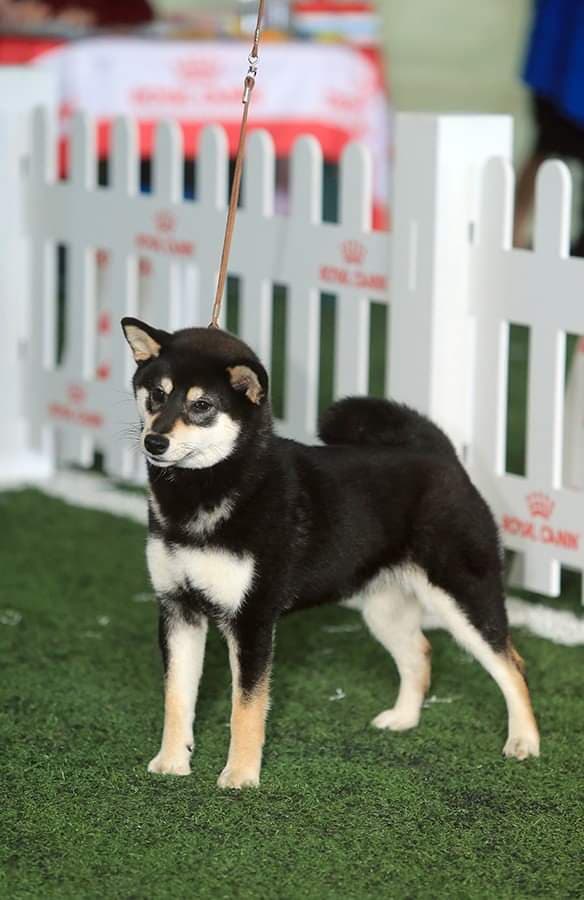 89667535_255561695456303_4792314424293588992_n (1)