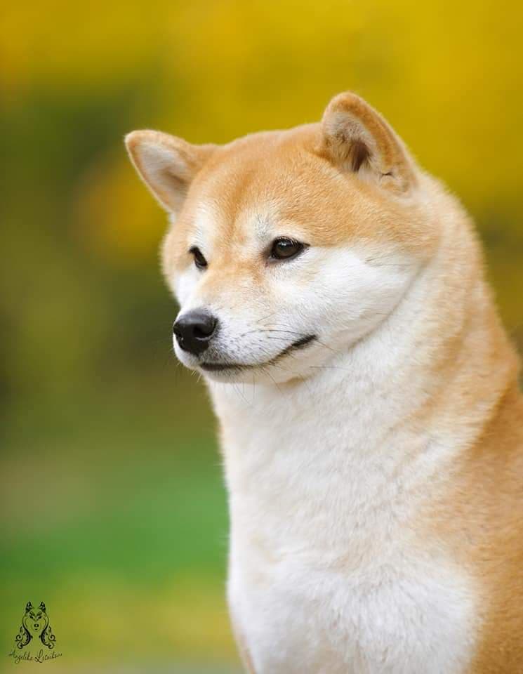 89667535_636166720285778_4234857588014972928_n (1)