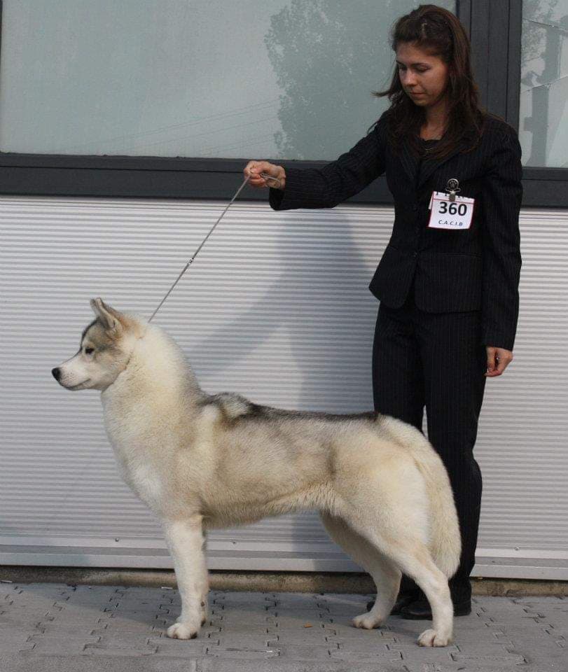 89722660_246287423199149_2732675957147041792_n (1)