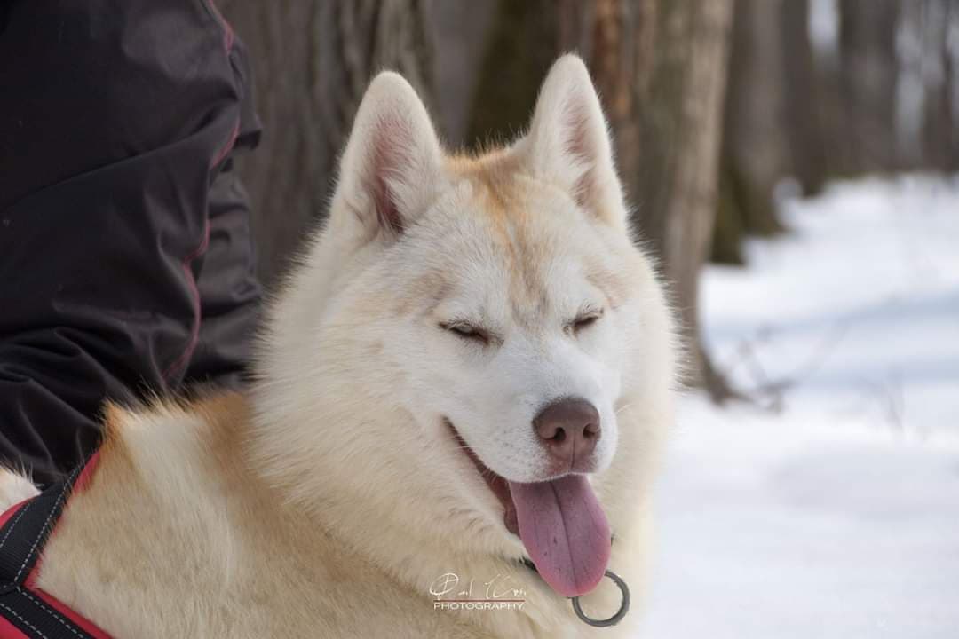 89739656_1067841933579884_3968997527549640704_n-1