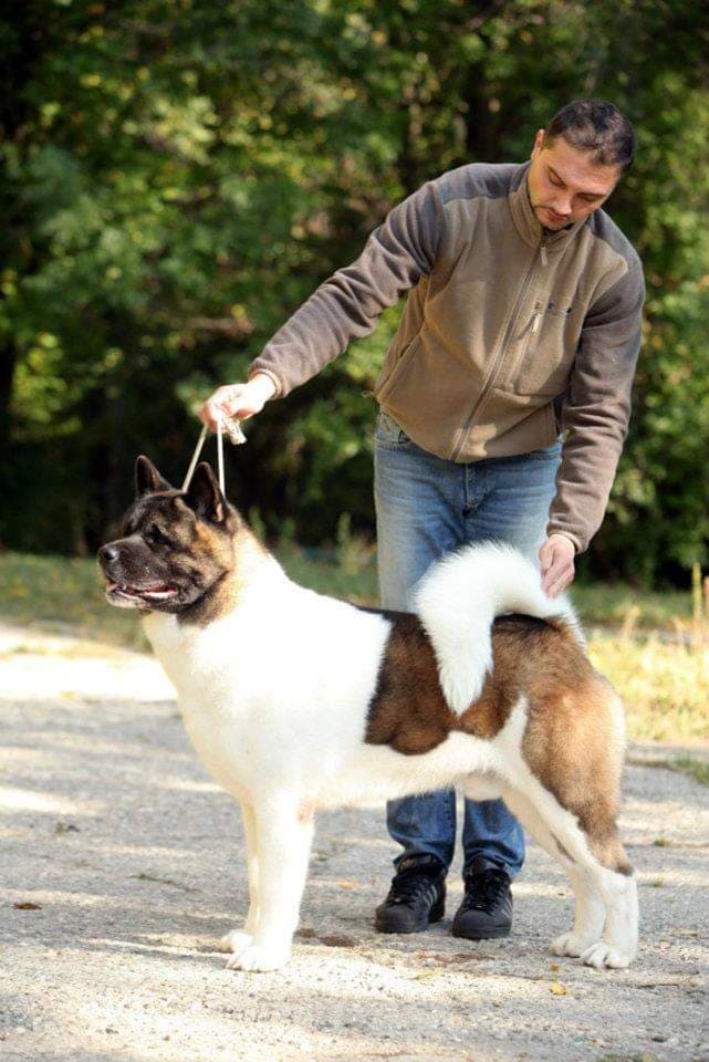 89766728_1158399514502781_7384637434392215552_n (1)