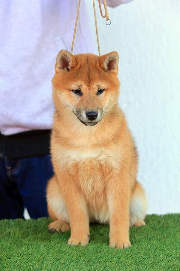 89774802_991743007951119_2967974516392722432_n (1)